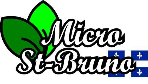 MicroStBruno Logo