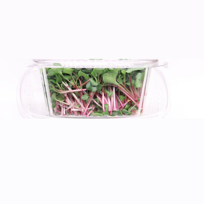 Micro Radish