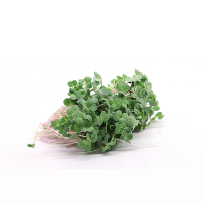 Micro Broccoli